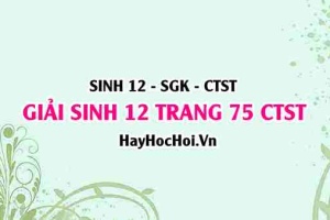 Giải Sinh 12 trang 75 Chân trời sáng tạo SGK